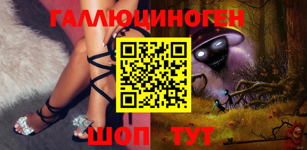 Ачхой-Мартан  Псилоцибиновые грибы мухоморы  Вход с VPN 